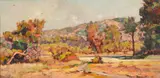 Gino Romiti, Campagna