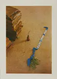 Joseph Beuys, VITEX AGNUS CASTUS, print (other)