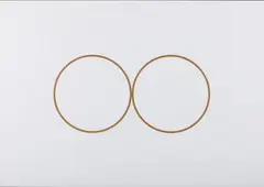 UNTITLED (DOUBLE PORTRAIT) by Félix González-Torres, print (other), sold Dec 2024
