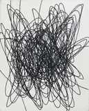 Roberto Crippa, SPIRALE