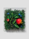 Piero Gilardi, MELOGRANO, 2004
