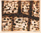Anton Zoran Mušič, OMBRE SUR LE CARSE, 1958