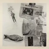 Robert Rauschenberg, FEATURES FROM CURRENTS ( ONE FROM PORTFOLIO OF 26 SCREENPRINTS), 1970, print (other)