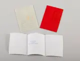 Maurizio Nannucci, LA STORIA DELLE TRE COPPE ROSSE
