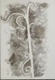 Franco Angeli, SENZA TITOLO (ORNAMENTI A CAPRI), 1981