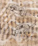 Franca Pisani, UNO SGUARDO OBLIQUO, 2014