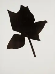 Yannis Kounellis, SENZA TITOLO, print (other)