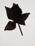 Yannis Kounellis, SENZA TITOLO, print (other)