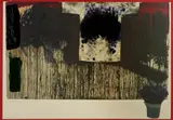 Hermann Nitsch, SENZA TITOLO (UBERMALTE BILD), 1991, print (other)
