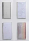 Paolo Masi, ORDINE E CAOS CASUALITA' CONTROLLATA (POLITTICO), 2015