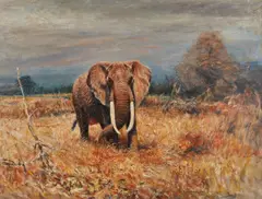Willy Lorenz, Attribuito a. Elefante nella savana