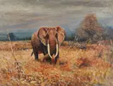 Willy Lorenz, Attribuito a. Elefante nella savana
