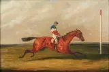 Henry Thomas Alken, Fantino a cavallo