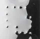 Angelo Brescianini, Senza titolo