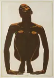 Marco Vignolini, Anadeia