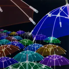 Renato Meneghetti, X ray Anima del quotidiano: Black Rain, photograph