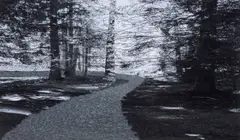 Abbas Gharib, Roads, photograph