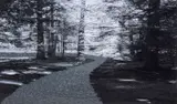 Abbas Gharib, Roads, photograph