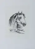 Bucefalo by Giorgio de Chirico, print (other), sold Oct 2023