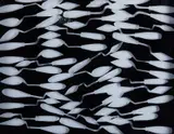 Arman, Senza titolo, print (other)