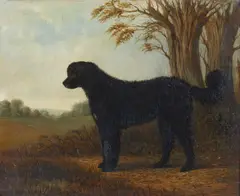 John Ferneley, Attribuito a. Paesaggio con cane