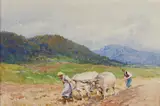Achille Beltrame, Aratura con buoi