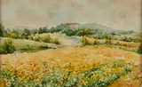 Achille Beltrame, Campo di girasoli
