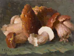 Ferdinando Bialetti, Natura morta di funghi