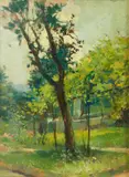 Giuseppe Solenghi, Giardino con pergolato