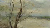 Francesco Vitalini, Paesaggio lagunare con alberi