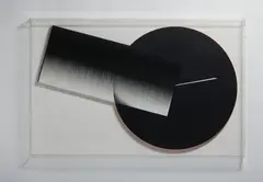 Alberto Biasi, Dal Ciclo assemblaggi: Omaggio al punto