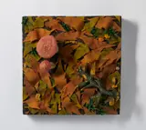 Piero Gilardi, Funghi