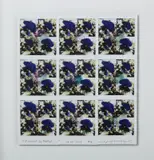 Maurizio Galimberti, Fioriario36Purple, photograph