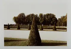 Gabriele Basilico, Senza titolo (Giardini), photograph