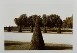 Gabriele Basilico, Senza titolo (Giardini), photograph