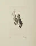 Henry Moore, Senza titolo, print (other)