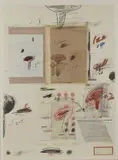 Cy Twombly, Natural History, Part I, Mushrooms: No. IV