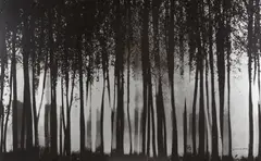 Franco Fontana, Senza titolo, photograph