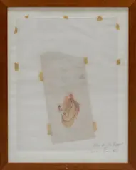 Francis Alÿs, Study for the prophet