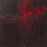 Camillo Francia, Figura