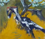 Bernard Zimmer, Baumstumpf
