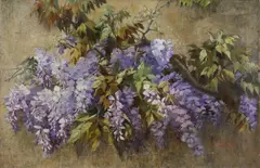 Aurora Gilardelli, Glicine in fiore
