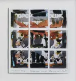 Maurizio Galimberti, Topolino 1103, photograph