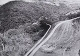Abbas Gharib, The roads, photograph