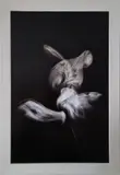 Mauro Maletti, Senza titolo, photograph