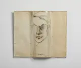 Larry Rivers, Face colomnized