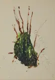 Radici dipinte a smalto by Mario Schifano, sold Nov 2022