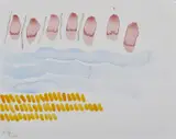 Giorgio Griffa, Tre colori