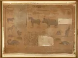 Mirco Marchelli, Geografie n.7