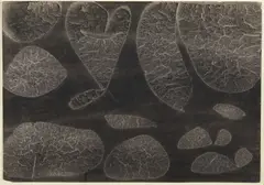 Muffa by Pino Pascali, sold Sep 2022